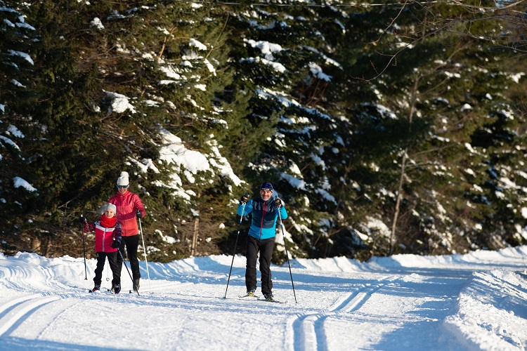 Famille ski