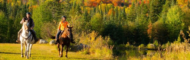 Summer might be ending, but that’s never a reason to be sad in the Laurentians! The fall colour season has arrived in the region.